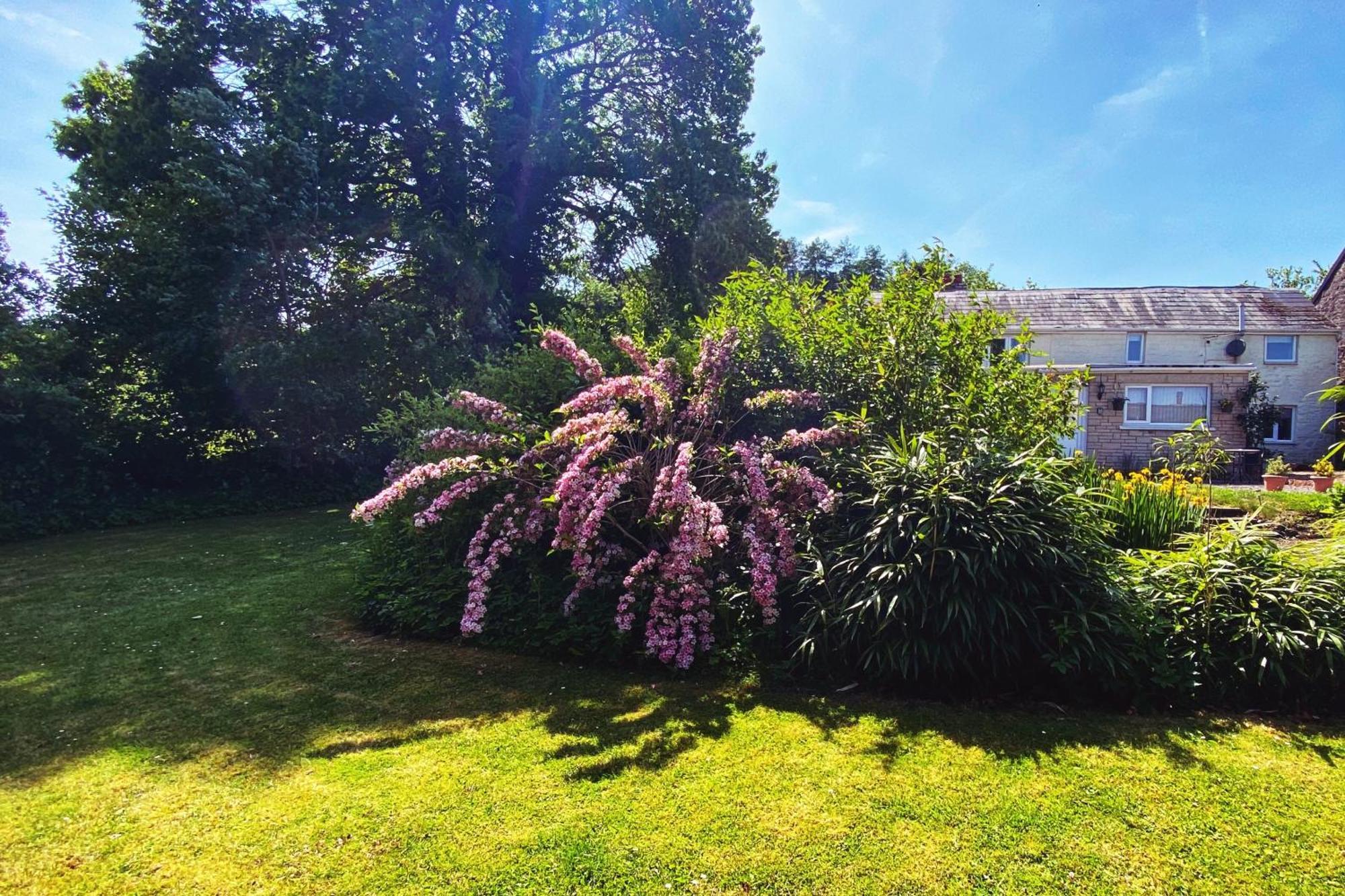 Silhouette Cottage Coleford  Εξωτερικό φωτογραφία